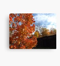 Sixth Street Embankment, Autumn Colors, Abandoned Pennsylvania Railroad Embankment, Jersey City, New Jersey Canvas Print