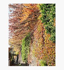 Sixth Street Embankment, Autumn Colors, Former Pennsylvania Railroad Embankment, Jersey City, New Jersey Photographic Print