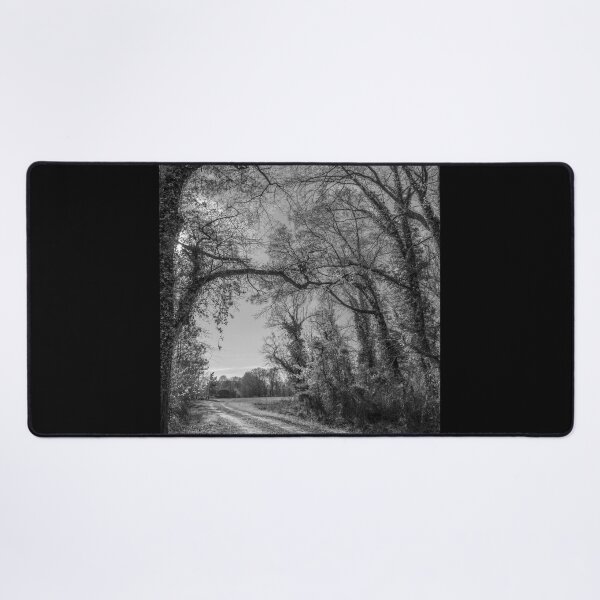 Item preview, Mint to Forest: B&W designed and sold by Susan  Nixon.