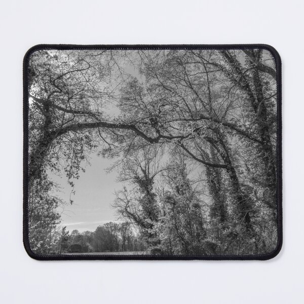 Item preview, Mint to Forest: B&W designed and sold by Susan  Nixon.