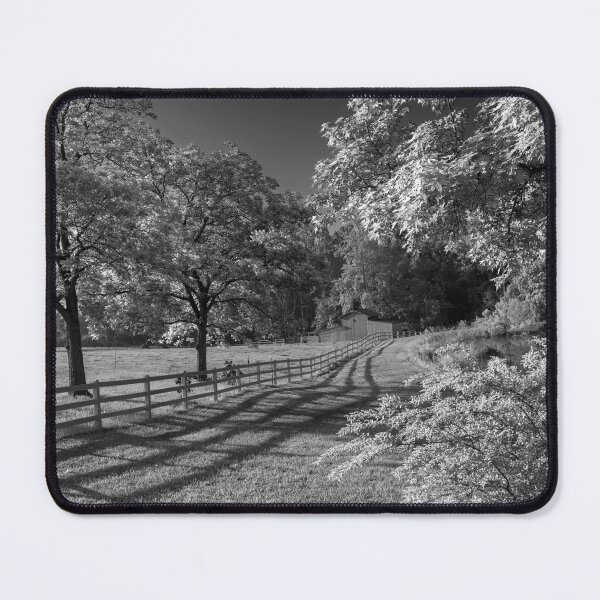 Item preview, Spring Morn designed and sold by Susan  Nixon.