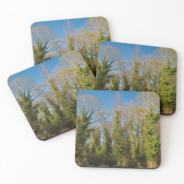 Item preview, Ivy Fairyland designed and sold by Susan  Nixon.