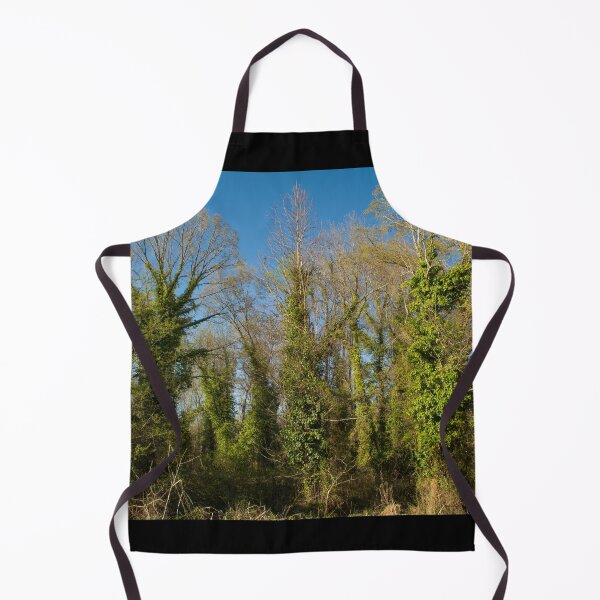 Item preview, Ivy Fairyland designed and sold by Susan Nixon.