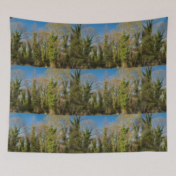 Item preview, Ivy Fairyland designed and sold by Susan  Nixon.