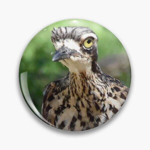 Item preview, Bush Stone-curlew Mood designed and sold by Digitaldingo.