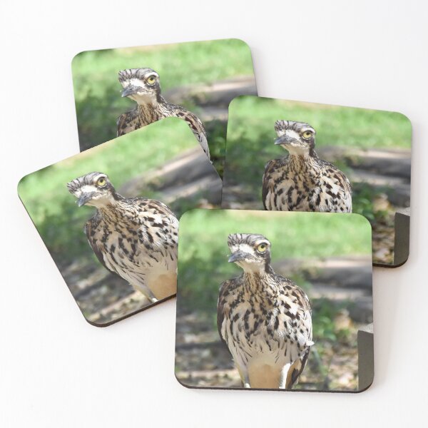 Item preview, Bush Stone-curlew Mood designed and sold by Digitaldingo.