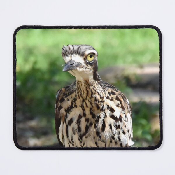 Item preview, Bush Stone-curlew Mood designed and sold by Digitaldingo.