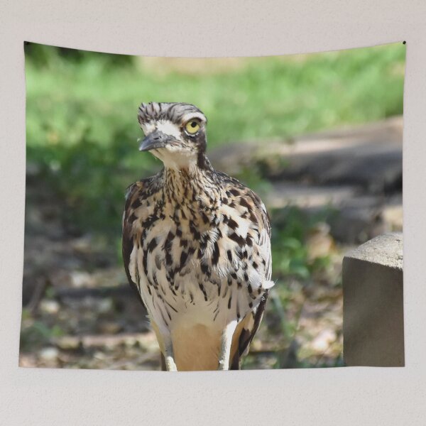 Item preview, Bush Stone-curlew Mood designed and sold by Digitaldingo.