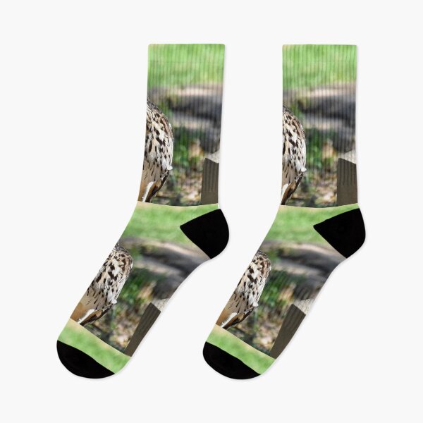 Item preview, Bush Stone-curlew Mood designed and sold by Digitaldingo.