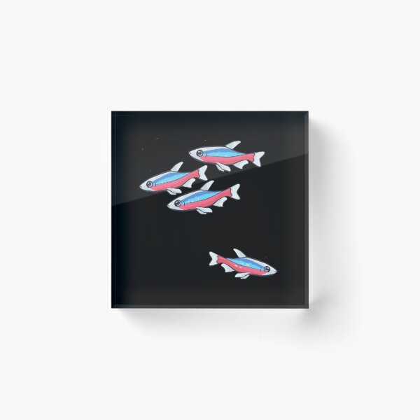 Item preview, Cardinal Tetra Schooling tetra community fish design designed and sold by Faerin.paints.
