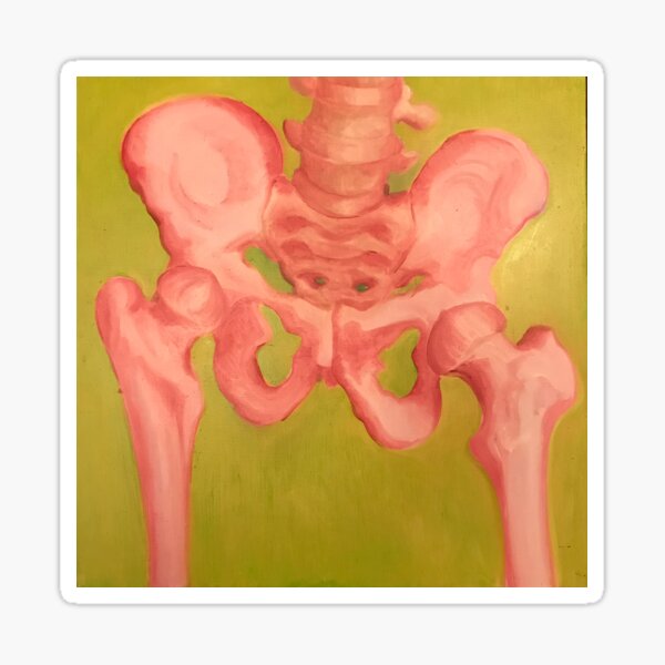 Pelvis in pink and green Sticker