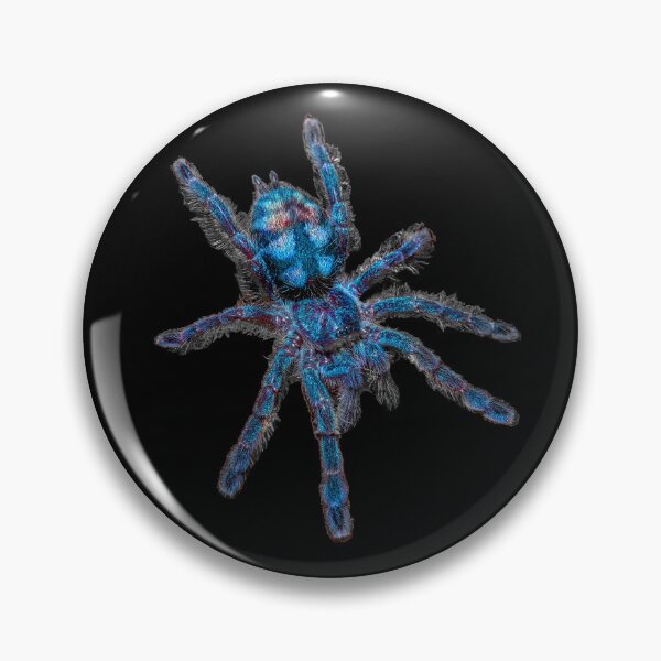 Item preview, Blue Tarantula Spider Antilles pinktoe Caribena Versicolor designed and sold by abowlofsoda.