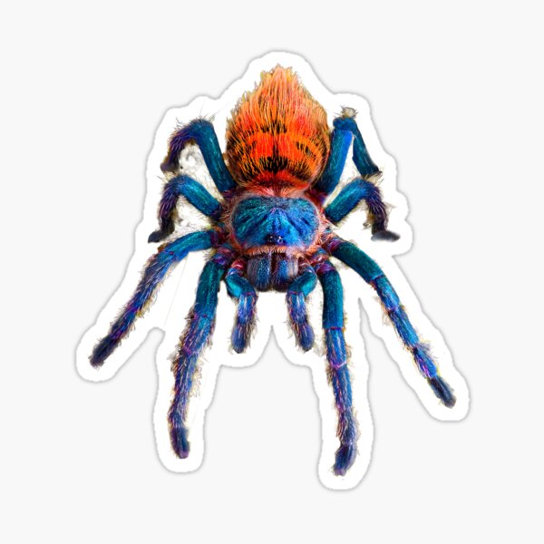 Item preview, Green Bottle Blue Tarantula designed and sold by abowlofsoda.