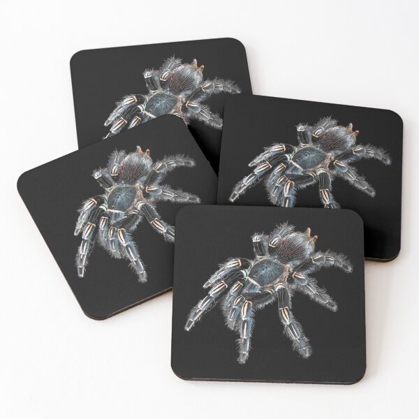 Item preview, Zebra Striped-Knee Tarantula Spider designed and sold by abowlofsoda.