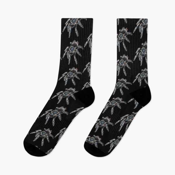 Item preview, Zebra Striped-Knee Tarantula Spider designed and sold by abowlofsoda.