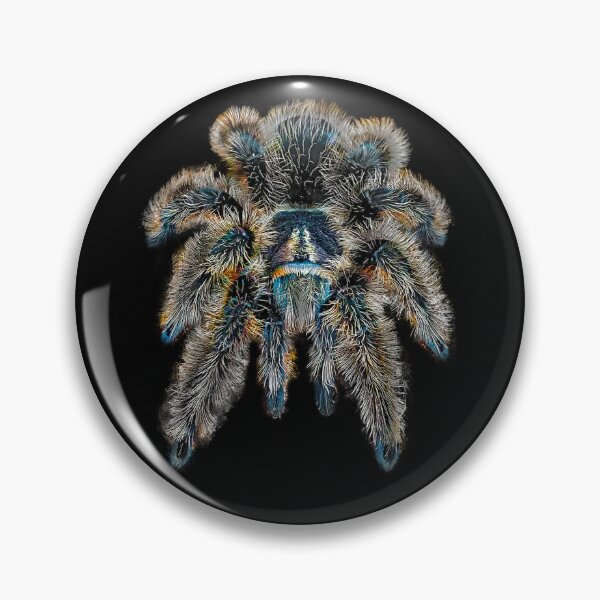Item preview, Curly Hair Wooly Tarantula Spider designed and sold by abowlofsoda.