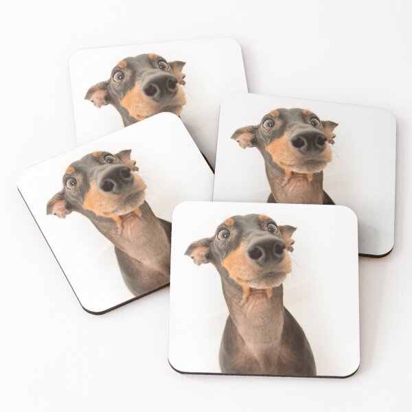 Item preview, Desi merch Dog image  designed and sold by Desi  Merch.