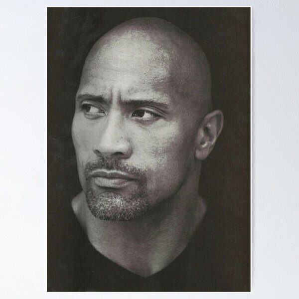Dwayne The Rock Johnson eyebrow raise meme  Poster for Sale by DennisHard1