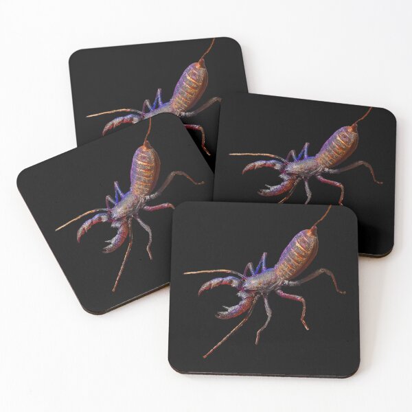 Item preview, Vinegaroon Thelyphonida Whip Scorpion designed and sold by abowlofsoda.