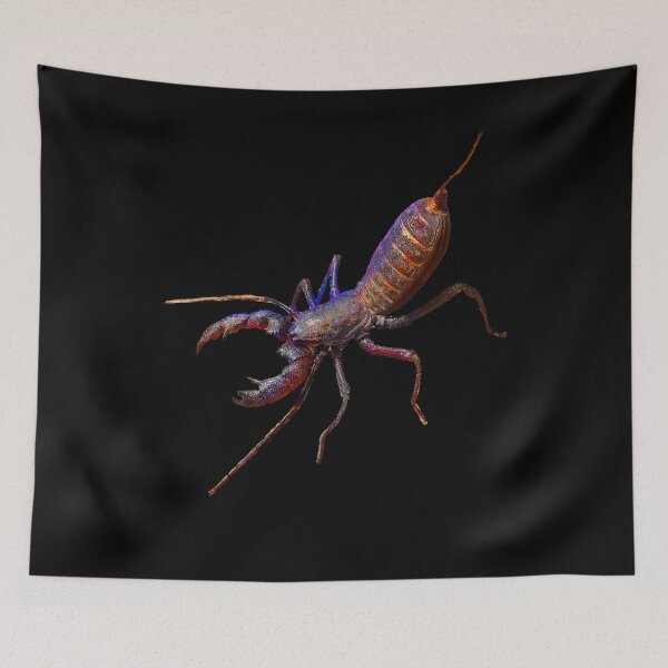 Item preview, Vinegaroon Thelyphonida Whip Scorpion designed and sold by abowlofsoda.