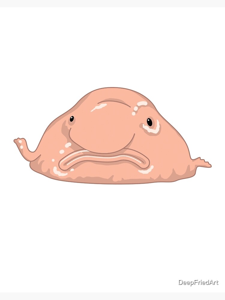 Blob Fish Funny Face Fish | Poster