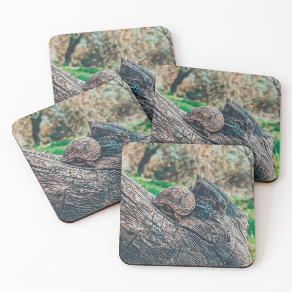 Item preview, Relaxing wild tortoise & turtle above a tree  designed and sold by anisbbmbrush.
