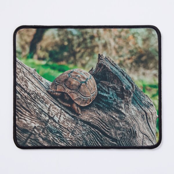 Item preview, Relaxing wild tortoise & turtle above a tree  designed and sold by anisbbmbrush.