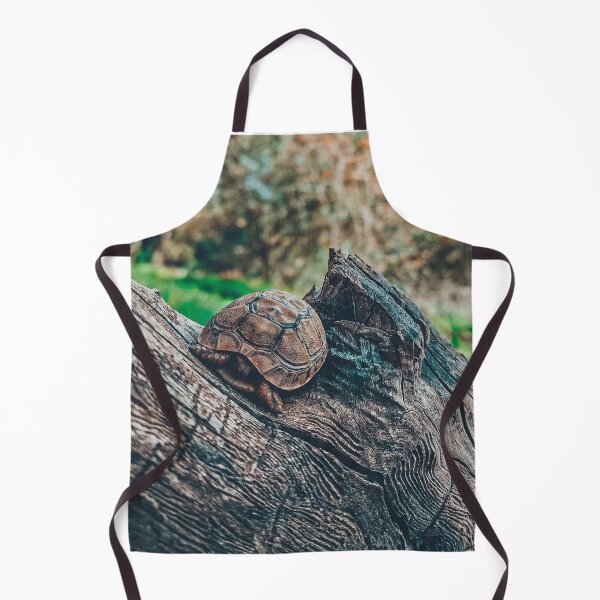 Item preview, Relaxing wild tortoise & turtle above a tree designed and sold by anisbbmbrush.