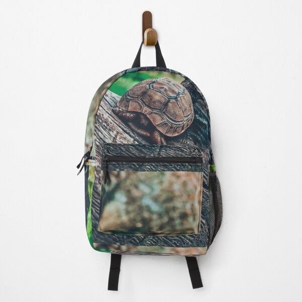 Item preview, Relaxing wild tortoise & turtle above a tree  designed and sold by anisbbmbrush.