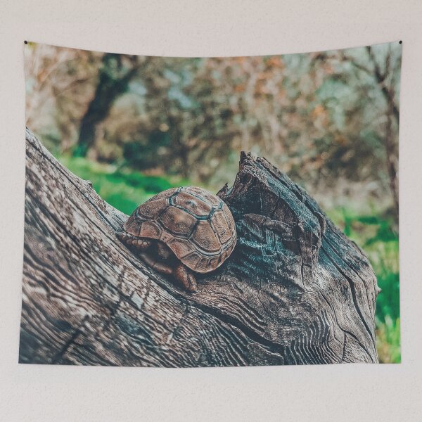 Item preview, Relaxing wild tortoise & turtle above a tree  designed and sold by anisbbmbrush.