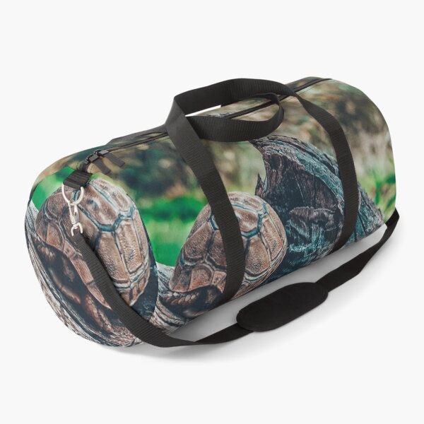 Item preview, Relaxing wild tortoise & turtle above a tree designed and sold by anisbbmbrush.