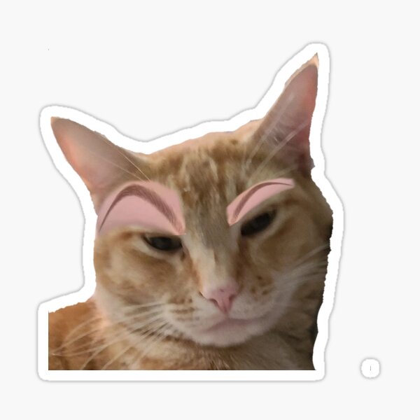 Seriously? 😼 Suspicous Felini Kitty Cat Emoji Sticker Raised Eyebrow