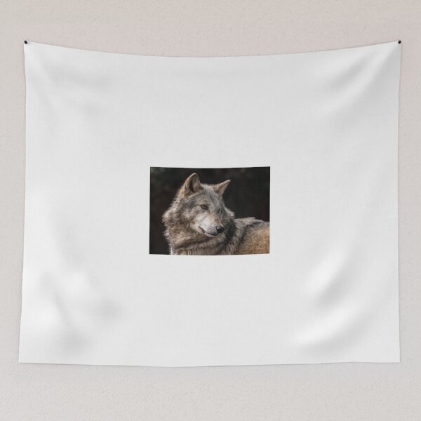 Item preview, Grey Wolf designed and sold by John Murphy.