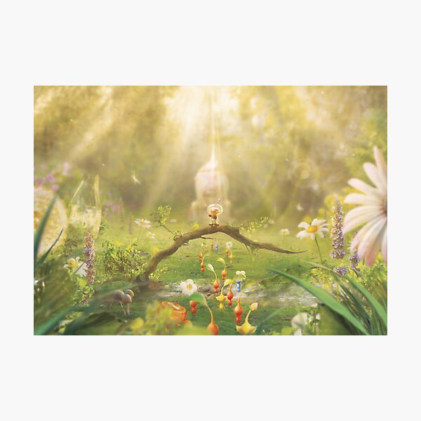 We'll Follow You Forever Photographic Print