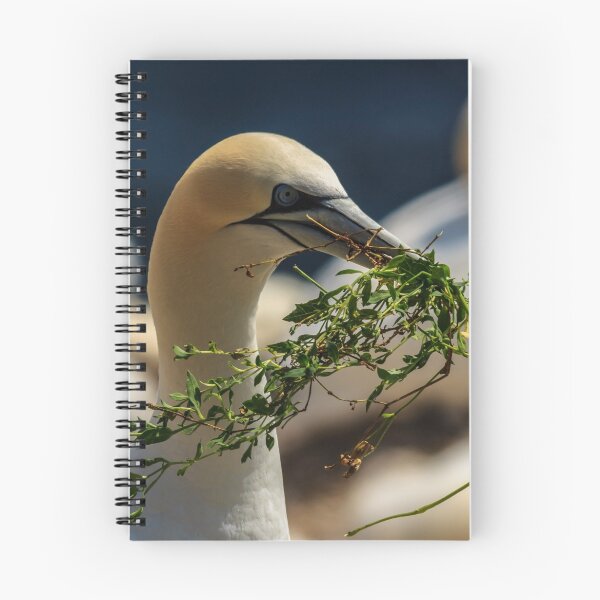 Item preview, Gannet designed and sold by John Murphy.