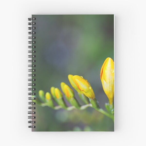 Item preview, Freesia Yellow Opening Hand designed and sold by Joy Watson - Natural Light Photography .