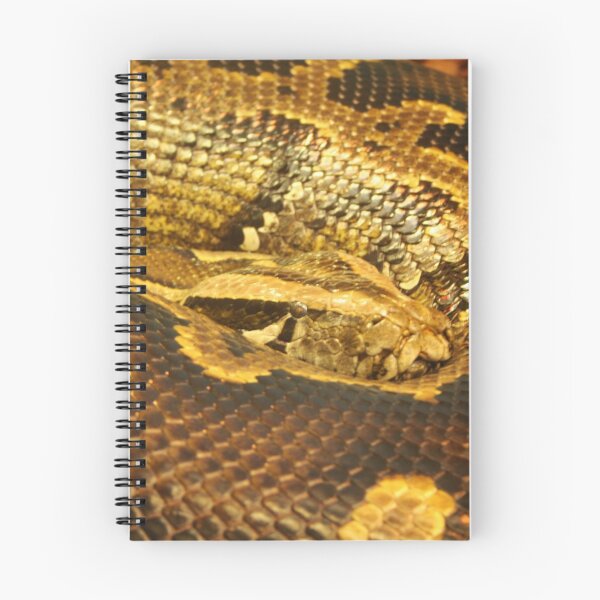 Item preview, Boa constrictor Up Close designed and sold by Jo Nijenhuis.