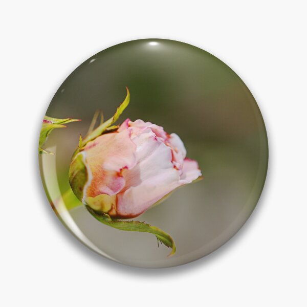 Item preview, Fresh Scent Of Rose Buds designed and sold by Joy Watson - Natural Light Photography .