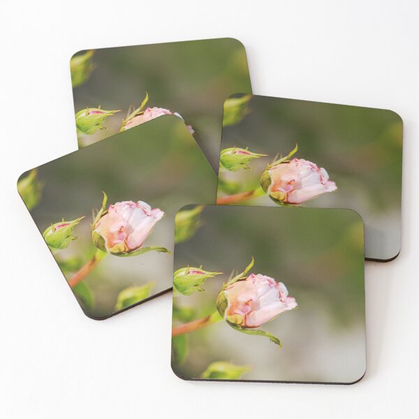 Item preview, Fresh Scent Of Rose Buds designed and sold by Joy Watson - Natural Light Photography .