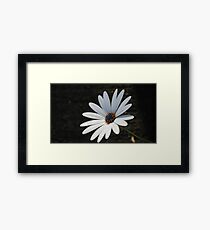 day Framed Print