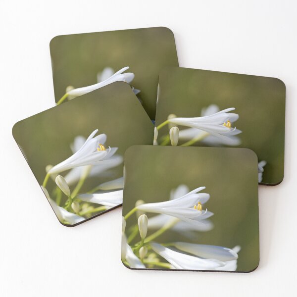 Item preview, Lily Of The Nile White designed and sold by Joy Watson - Natural Light Photography .