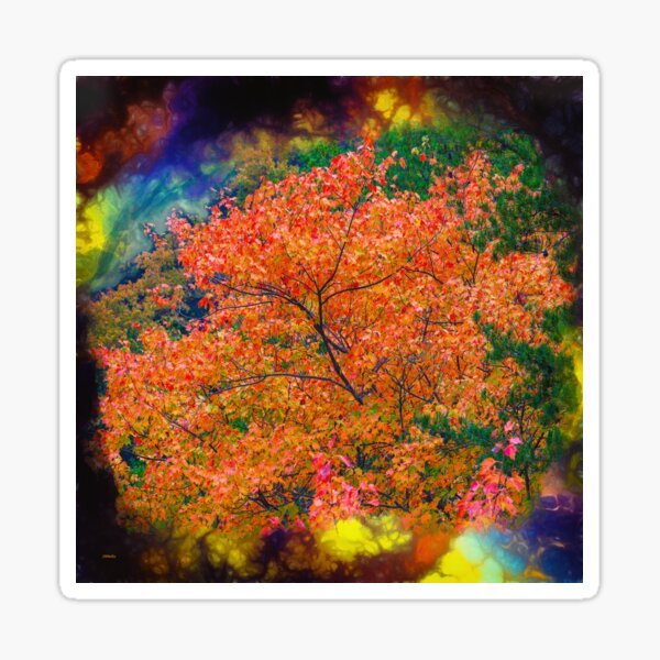 Item preview, Splendiferous designed and sold by John Bailey.