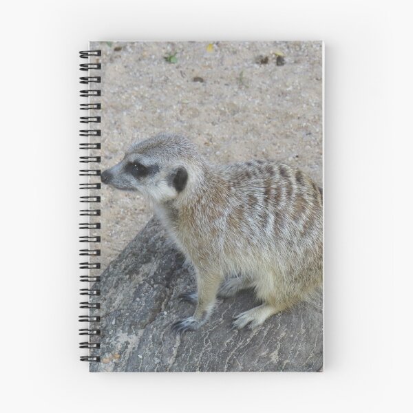 Item preview, Cute meerkat designed and sold by greentiger1.