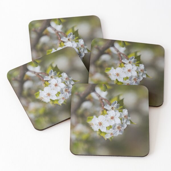 Item preview, Beautiful Nashi Fruit Flowers  designed and sold by Joy Watson - Natural Light Photography .