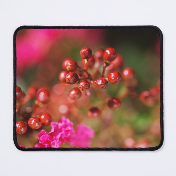 Item preview, Crepe Myrtle Bright Buds designed and sold by Joy Watson - Natural Light Photography .
