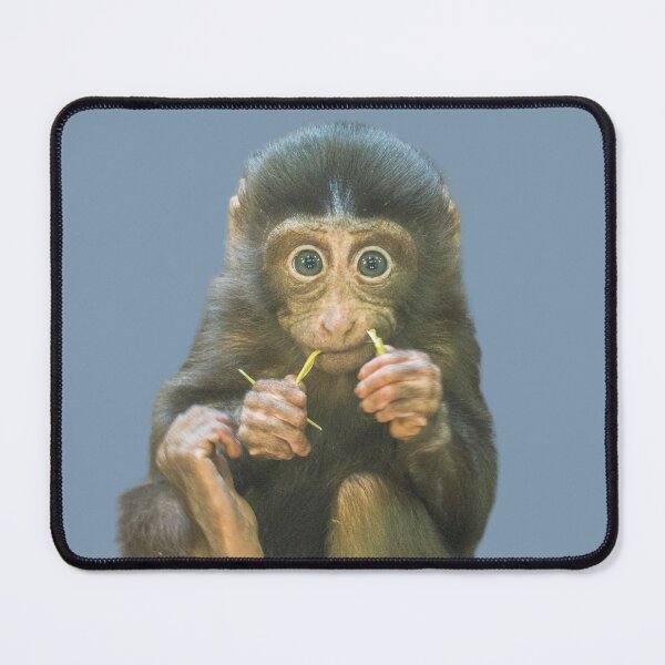 Item preview, Charming Monkey designed and sold by RainbowSpinkle.