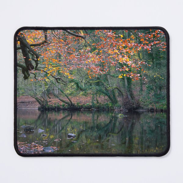 Item preview, Autumn is Coming designed and sold by Geoff Carpenter.