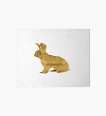 Hase Galeriedruck