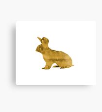 Hase Metalldruck