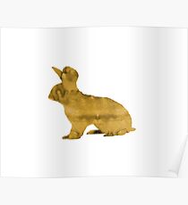 Hase Poster